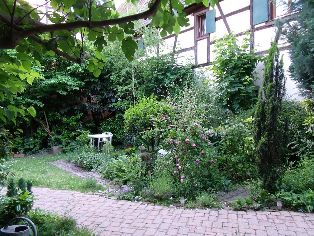 Studio La Grenouillere Turckheim Habitación foto